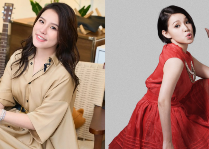 填大马入境申请被诈骗，谢依霖误信假签证网站