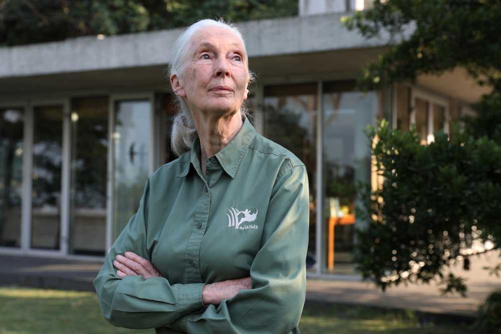 Jane Goodall's biting 'Last Words' wish before dying would send Musk, Trump  and Netanyahu on a SpaceX flight out of here