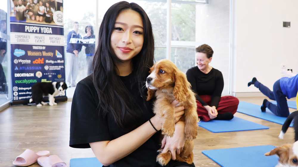 Australian puppy yoga: It's a combination of cuddles and chaos