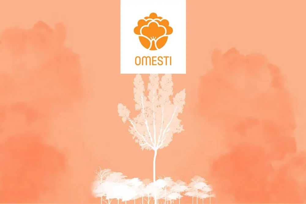 Omesti plans name change to Tegra, five-to-one share consolidation