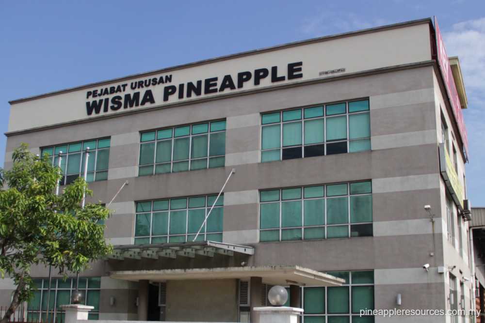 Pineapple Resources’ new shareholders end MGO with collective 71.42% stake