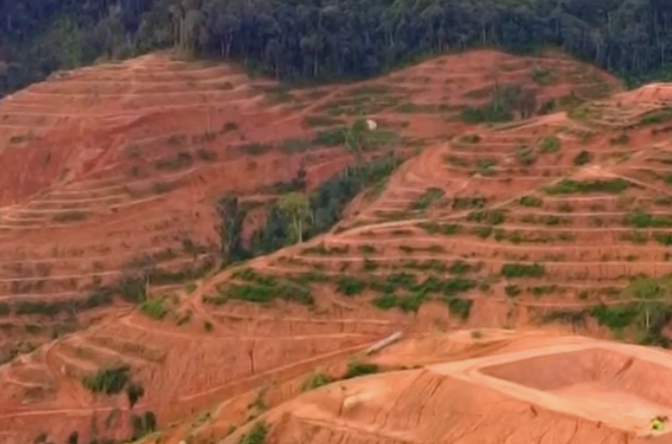 Wait Until 2050 Kedah MB On Gunung Inas Reforestation