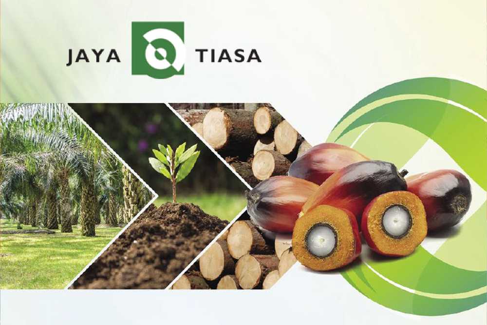 Higher fertiliser costs, weaker palm product prices pull Jaya Tiasa into losses in 3Q