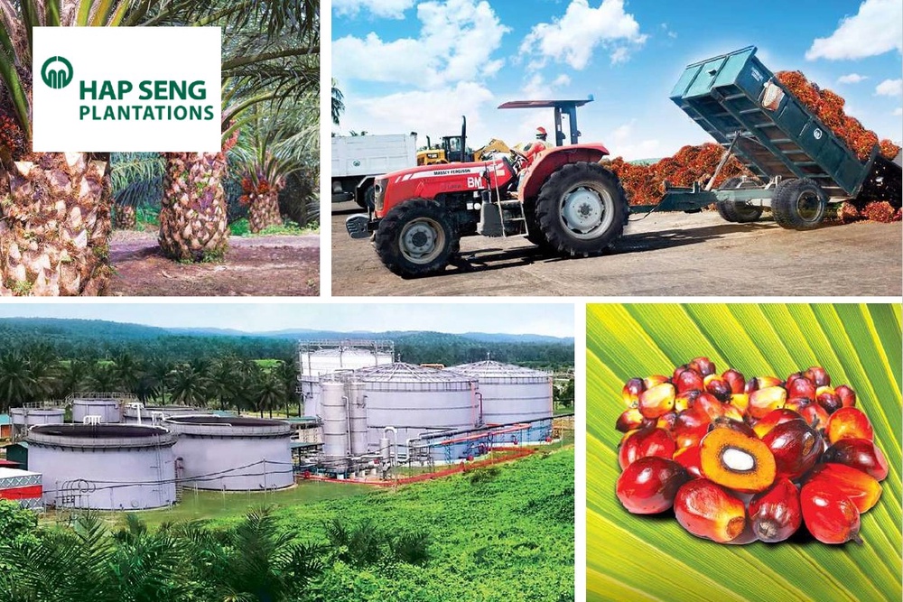Hap Seng Plantations_DagangNews2026