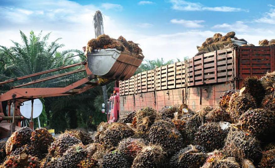sektor perladangan_DagangNews2026