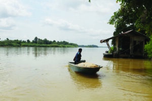 Image from: Pemangsa asing ancam ekosistem sungai tempatan