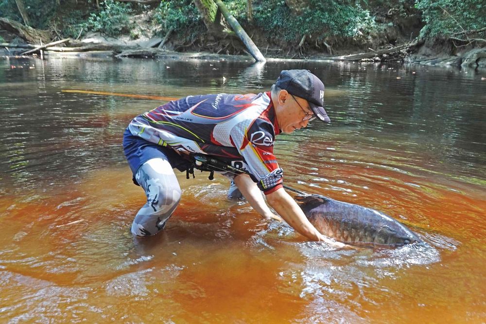 Image from: Menyergap kelah, badong gadang di hulu Sungai Melawi