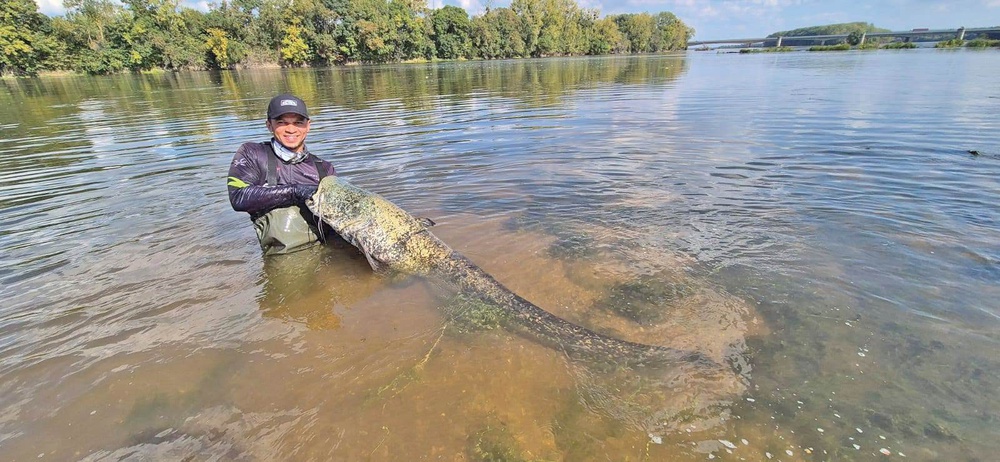 Image from: Menjejak ‘wels catfish’ di tanah Joan d’Arc