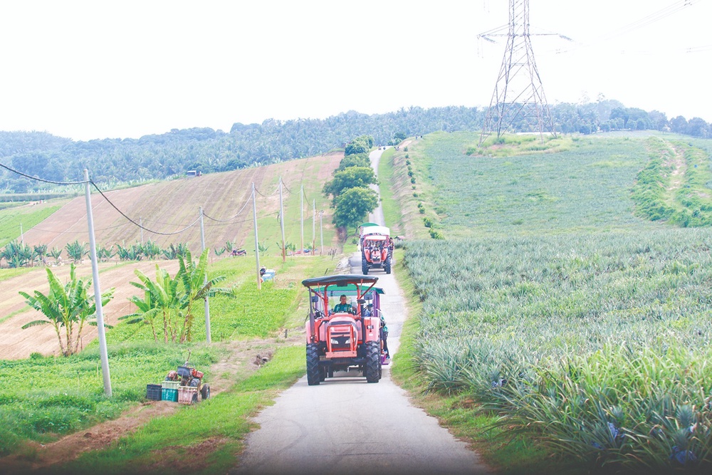Image from: Rasai keunikan ‘nangchem’ di SFV