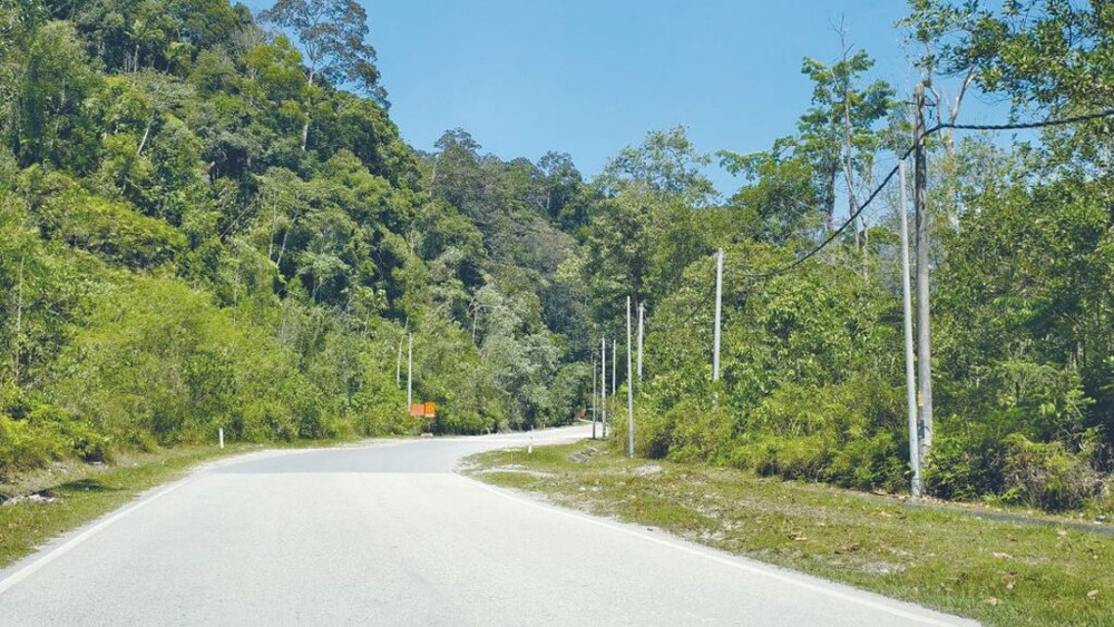 Image from: Ancaman pokok tua tebing bukit Janda Baik