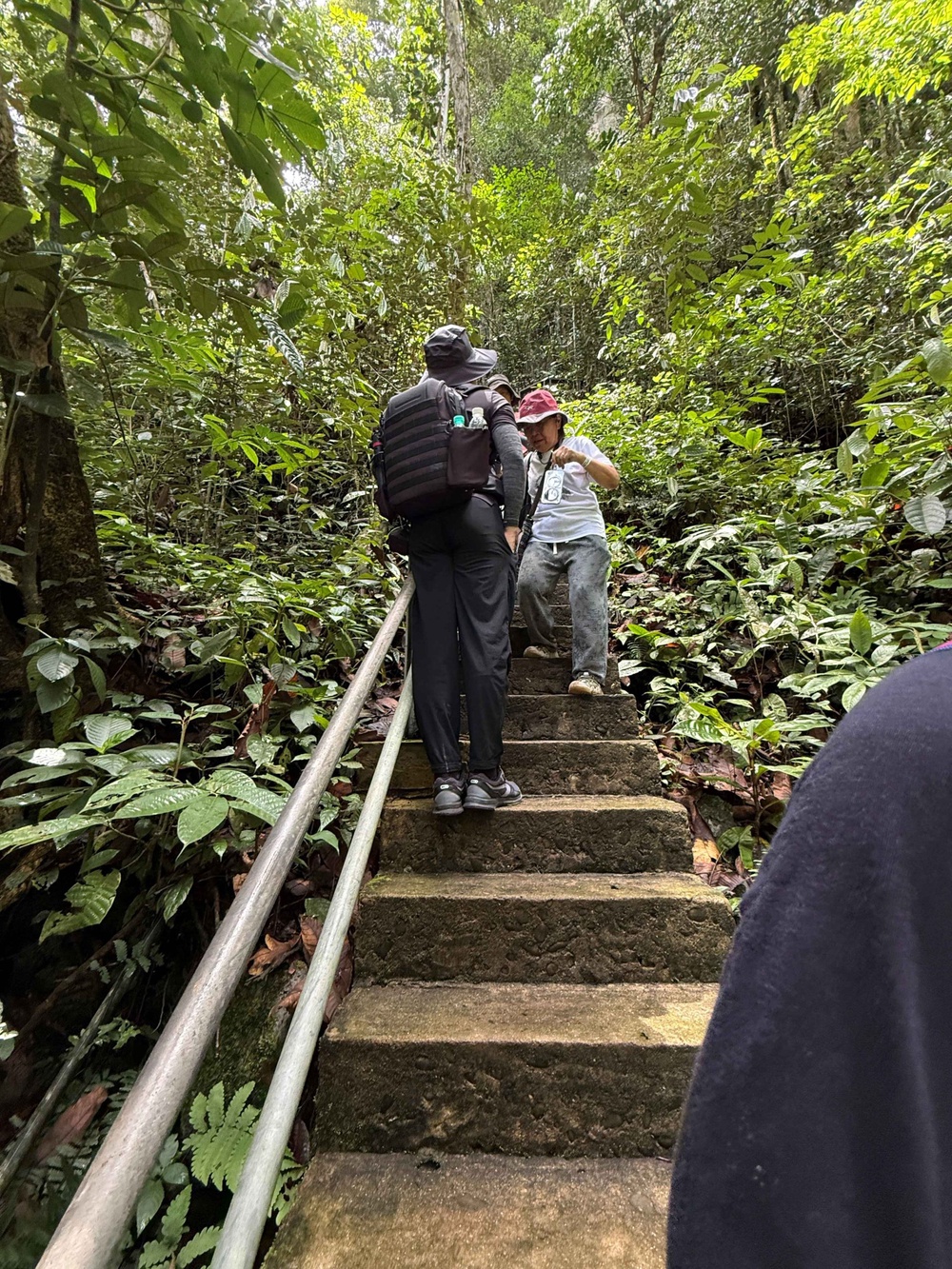Image from: Menelusuri Sungai Melinau ke dua gua Mulu