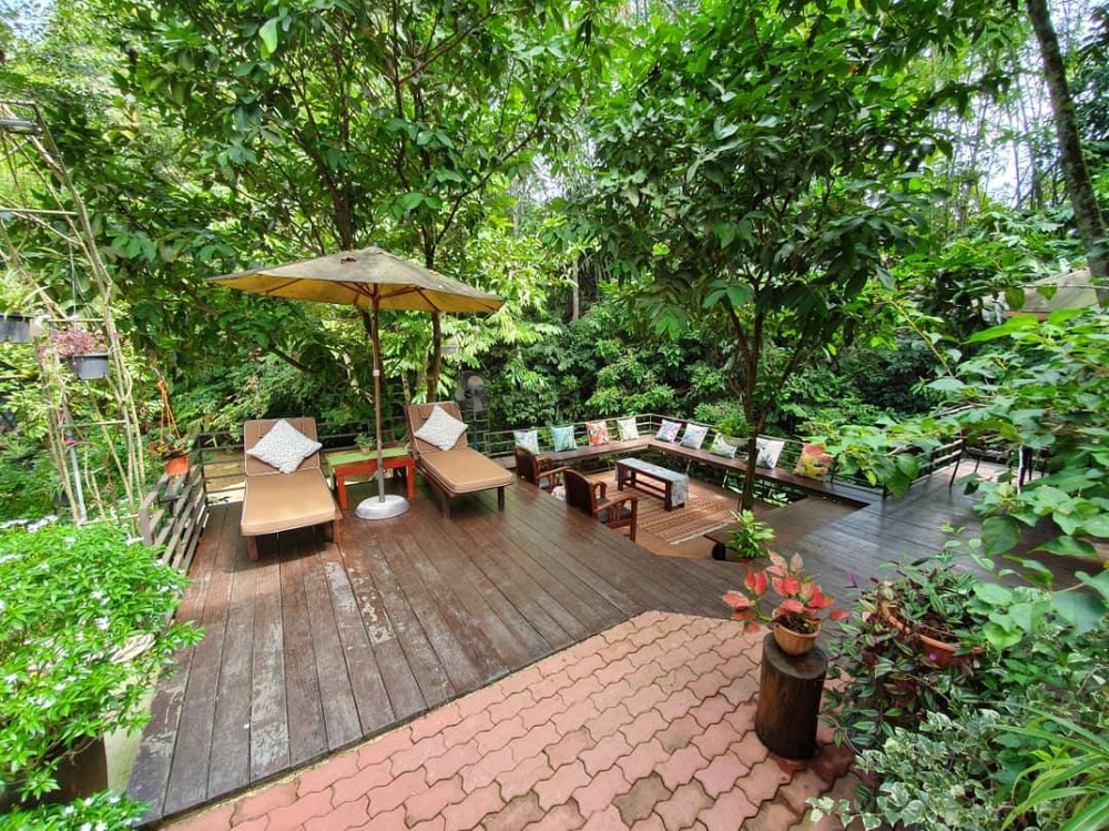 Image from: Konsep rumah dalam hutan cipta ketenangan