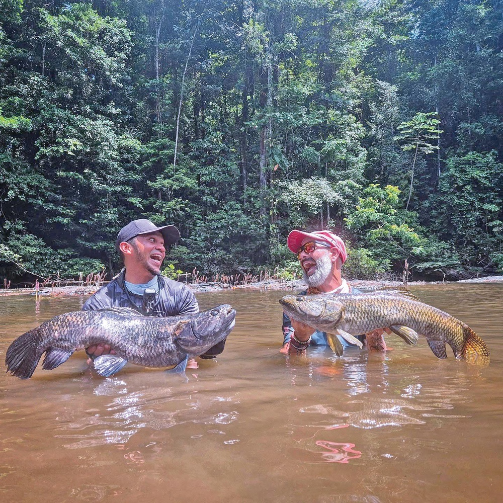 Image from: Pengembaraan menjejak ‘ikan serigala’ Amazon