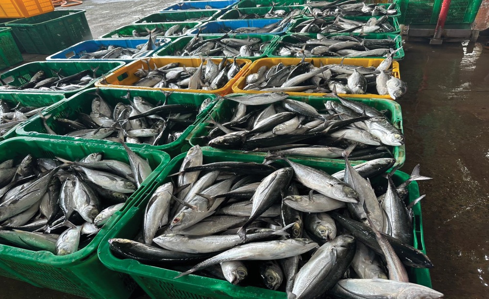 Image from: Rahsia Econsave kekalkan harga terendah