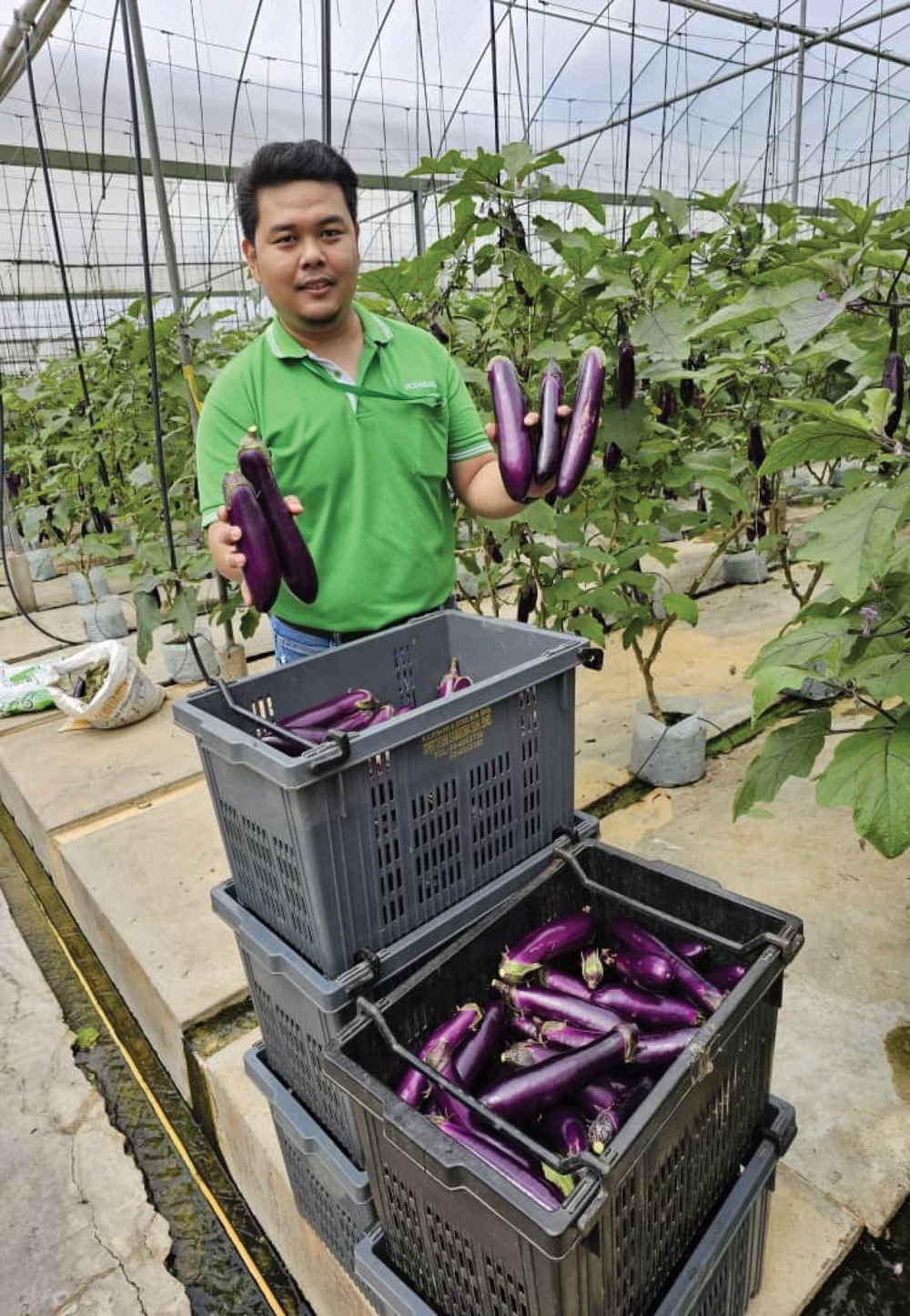Image from: Rahsia Econsave kekalkan harga terendah