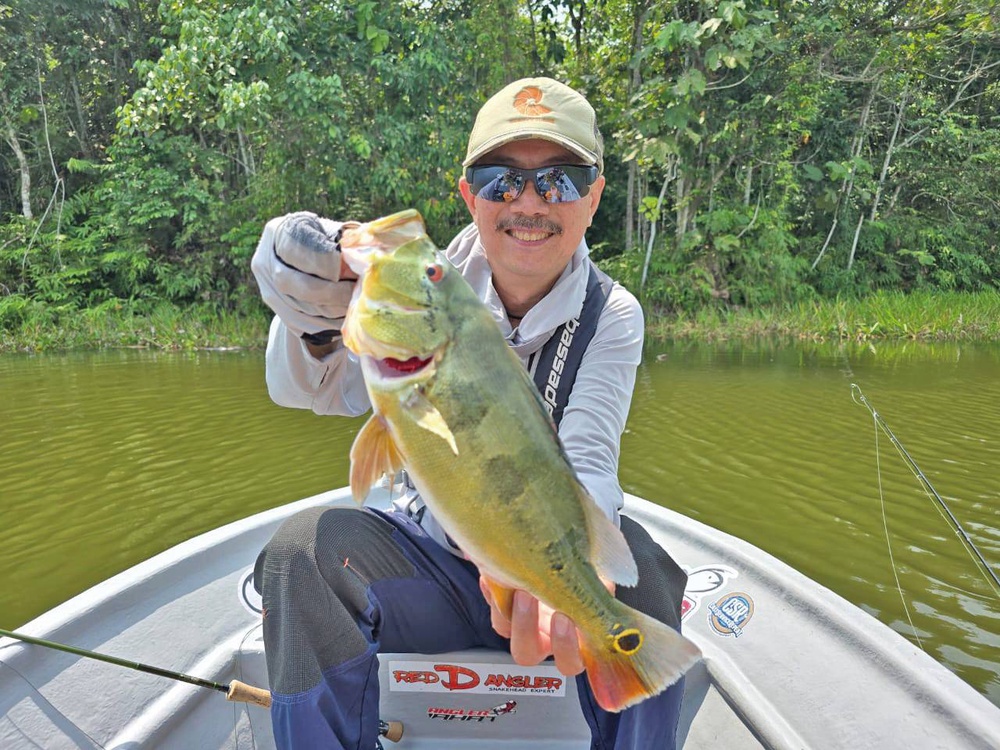 Image from: Elegan pancingan layang di Empangan Kelau
