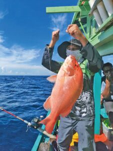 Image from: Diserang merah bagak di perairan Terengganu