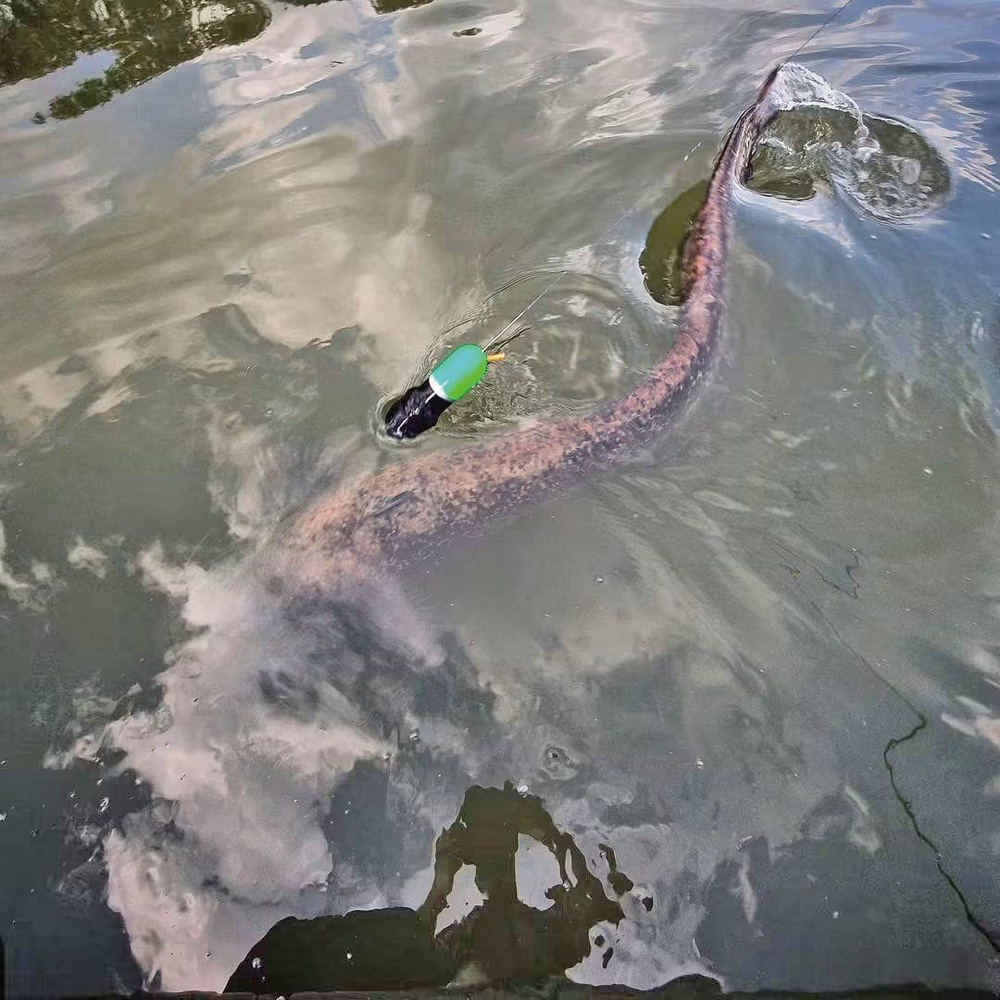 Image from: Teknik pancingan wels catfish