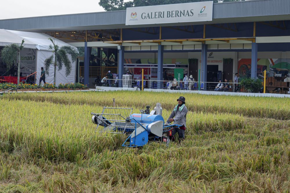 Image from: Digitalisasi BERNAS pacu transformasi industri padi