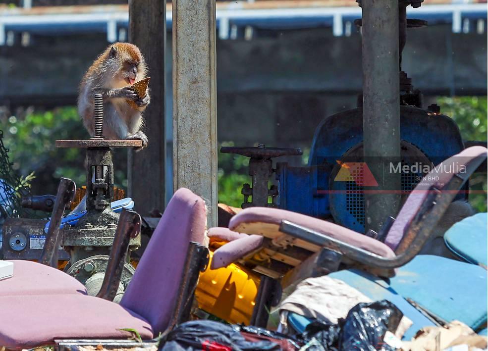 Image from: ‘NERAKA’ SAMPAH DI PULAU PERANGINAN