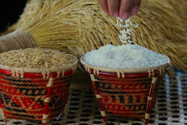 Image from: Reformasi birokrasi kunci keterjaminan makanan