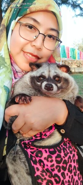 Image from: Cici, musang pandan manja yang suka merajuk