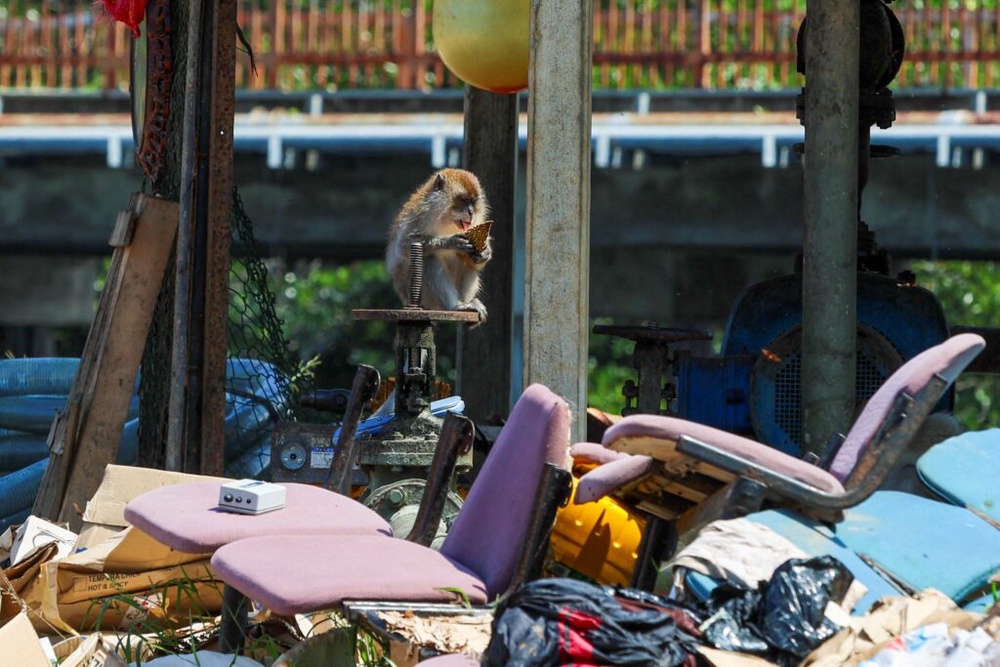 Image from: ‘NERAKA’ SAMPAH DI PULAU PERANGINAN
