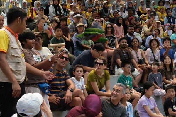 Image from: Disapa 3,000 burung jinak di tengah KL