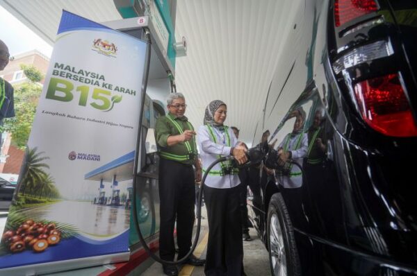 Image from: B15: Lima peratus jadi ‘perisai’ tenaga negara