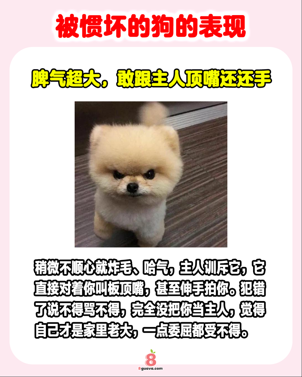 被惯坏的狗的表现