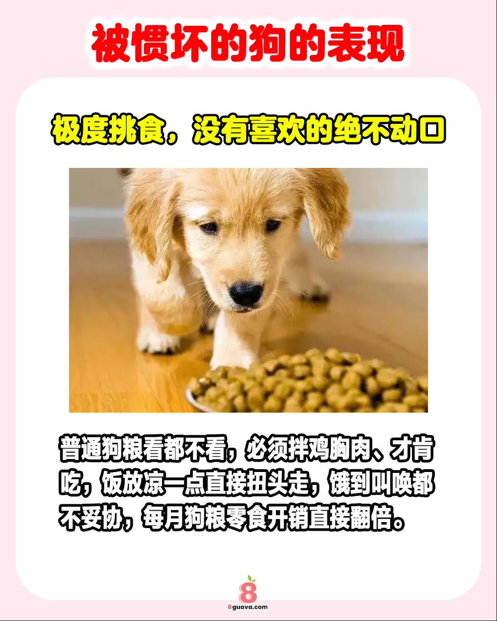 被惯坏的狗的表现