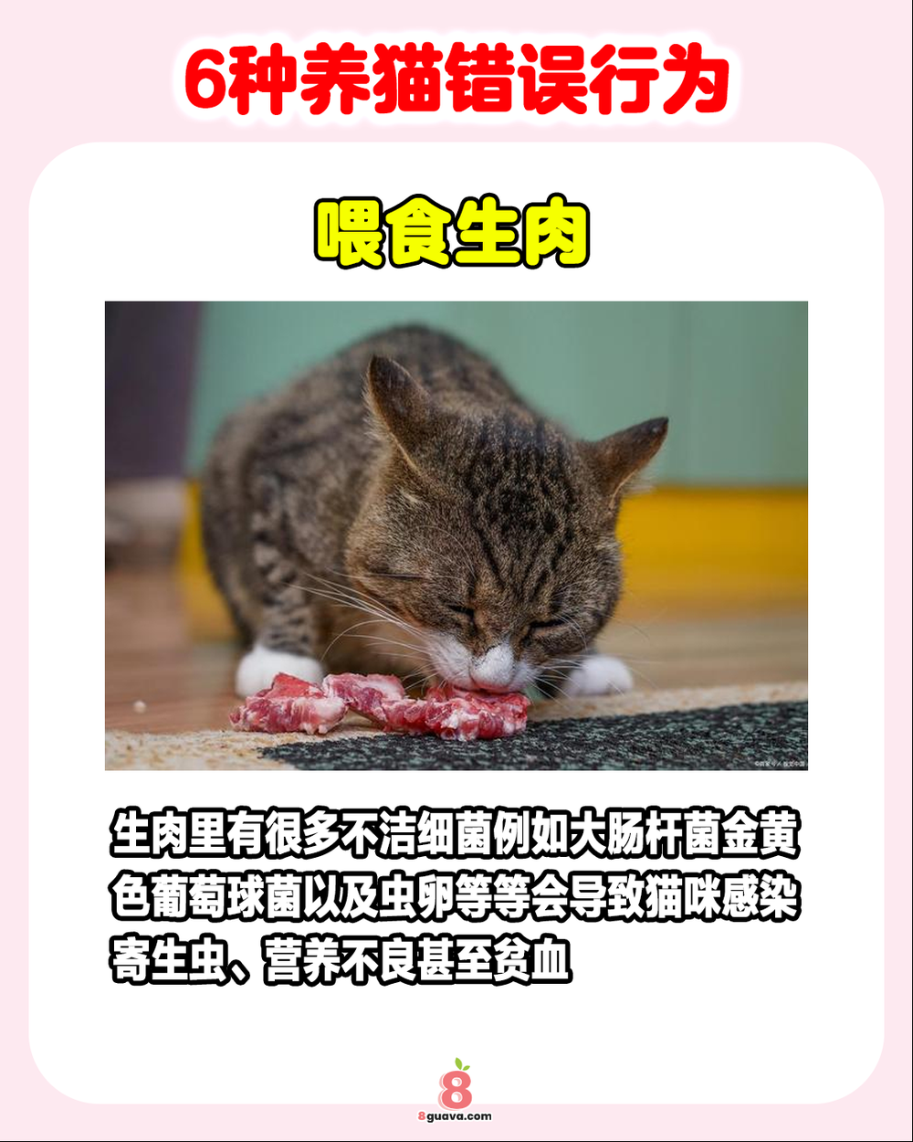 Image from: 6种养猫错误行为 一次看🐈快来看看你中招了吗❓