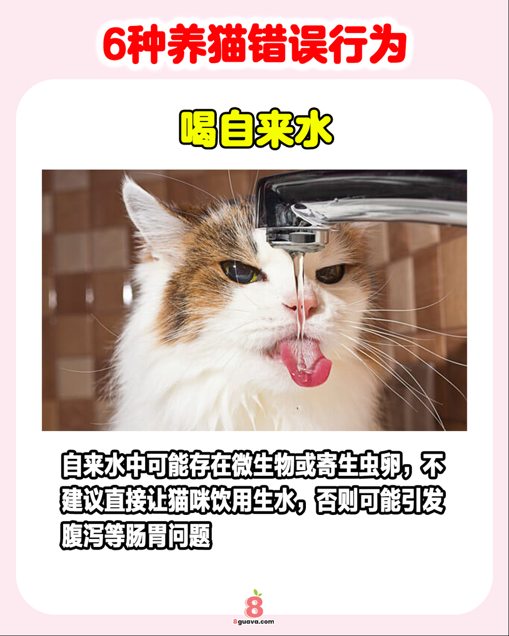 Image from: 6种养猫错误行为 一次看🐈快来看看你中招了吗❓