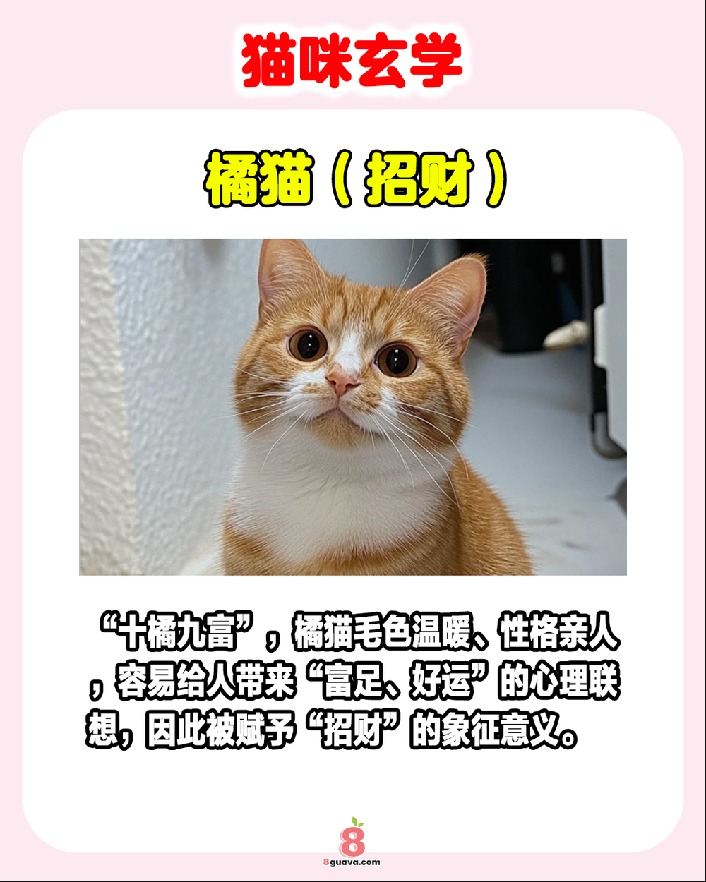 Image from: 猫咪玄学 一次看🐈 看看你的猫是啥属性❗