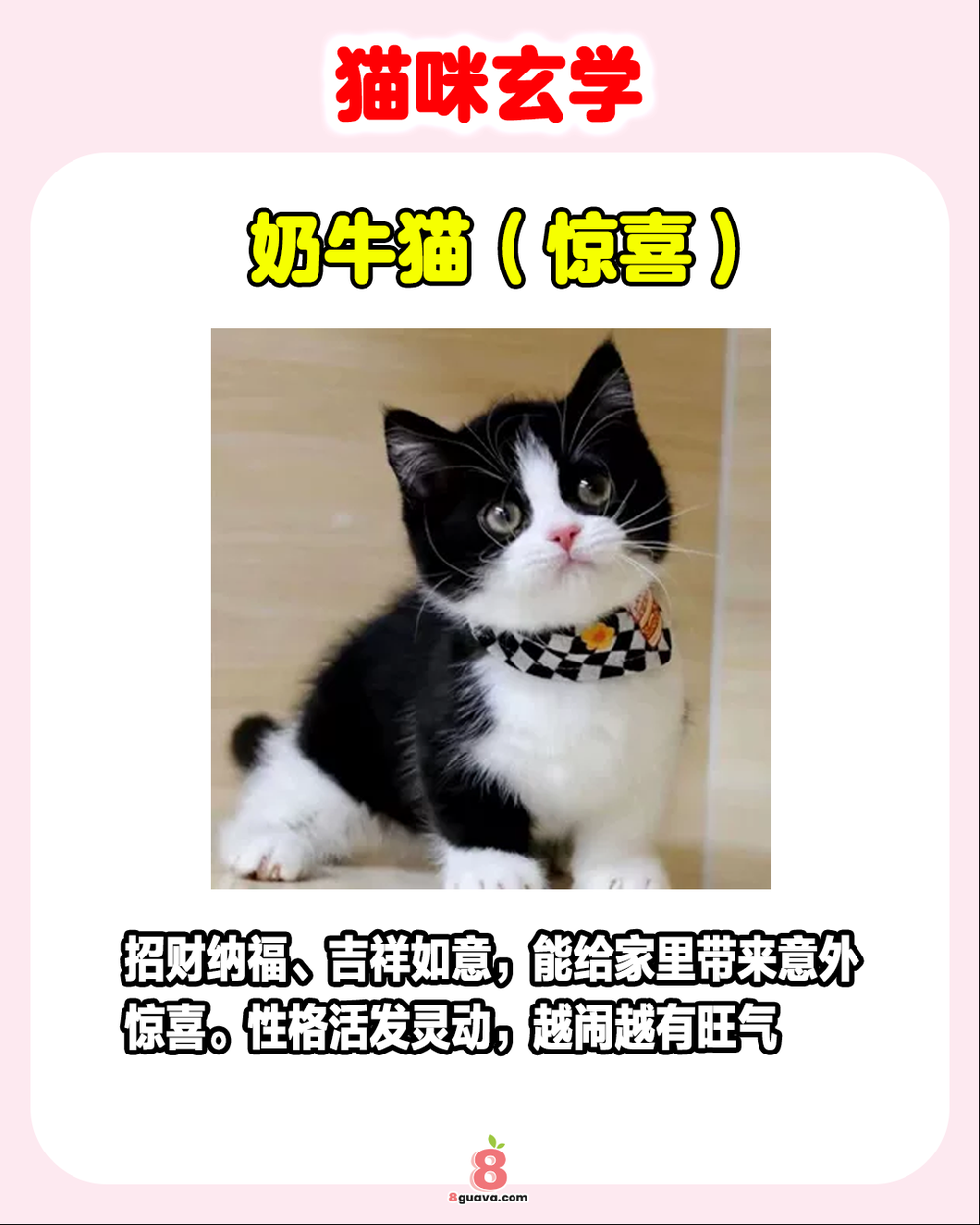 Image from: 猫咪玄学 一次看🐈 看看你的猫是啥属性❗