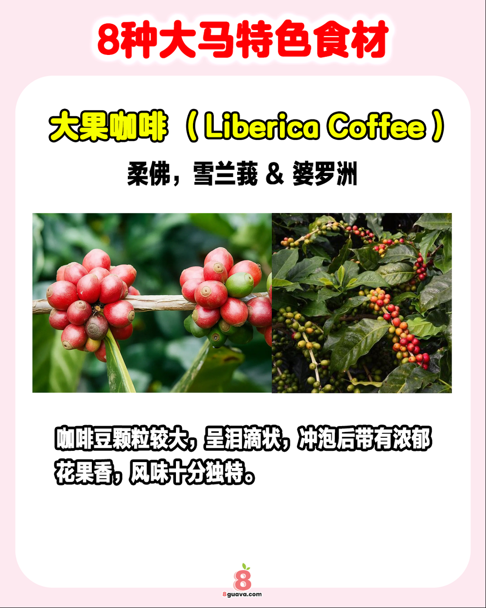 8种大马特色食材