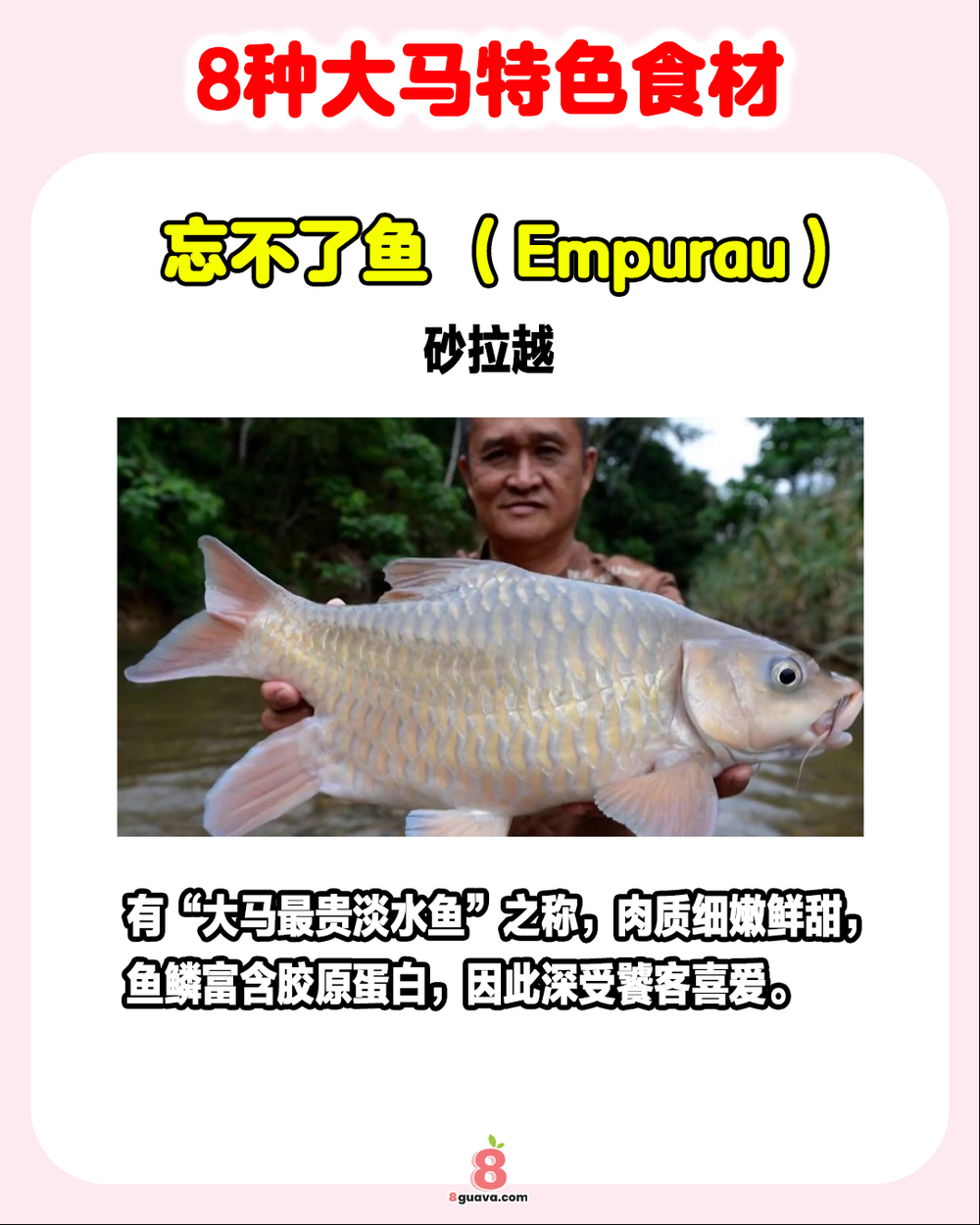 8种大马特色食材