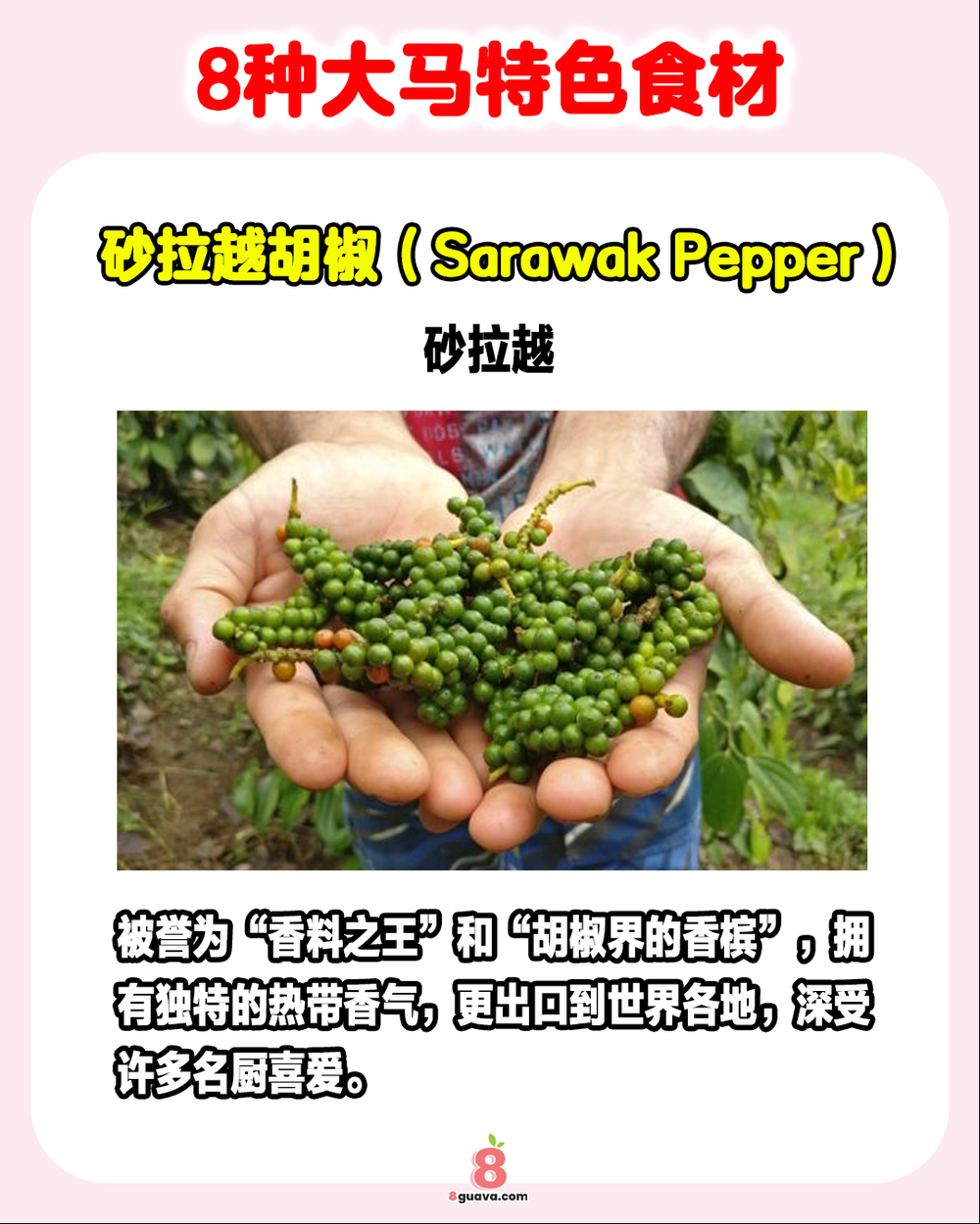 8种大马特色食材