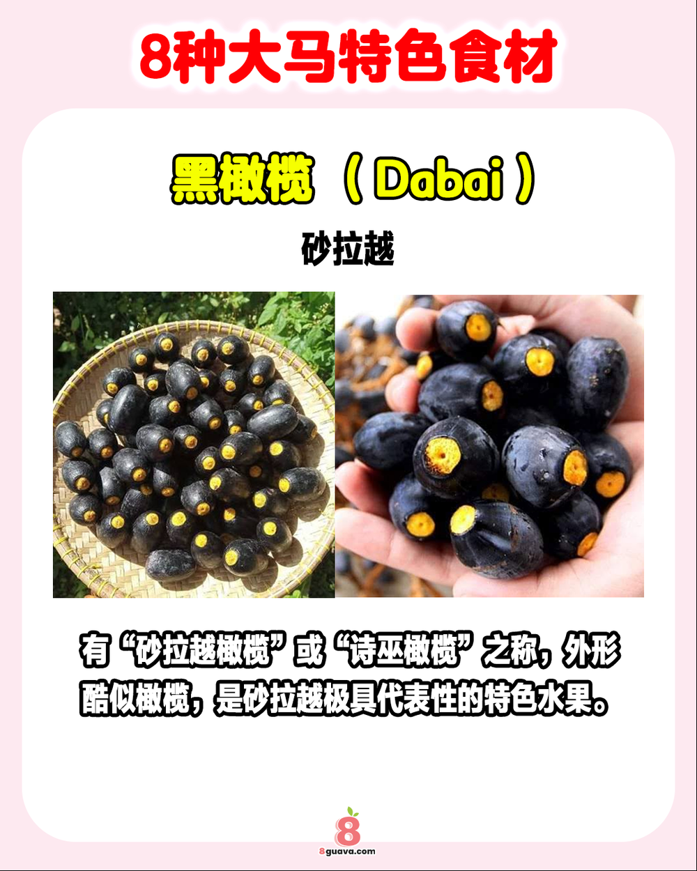 8种大马特色食材