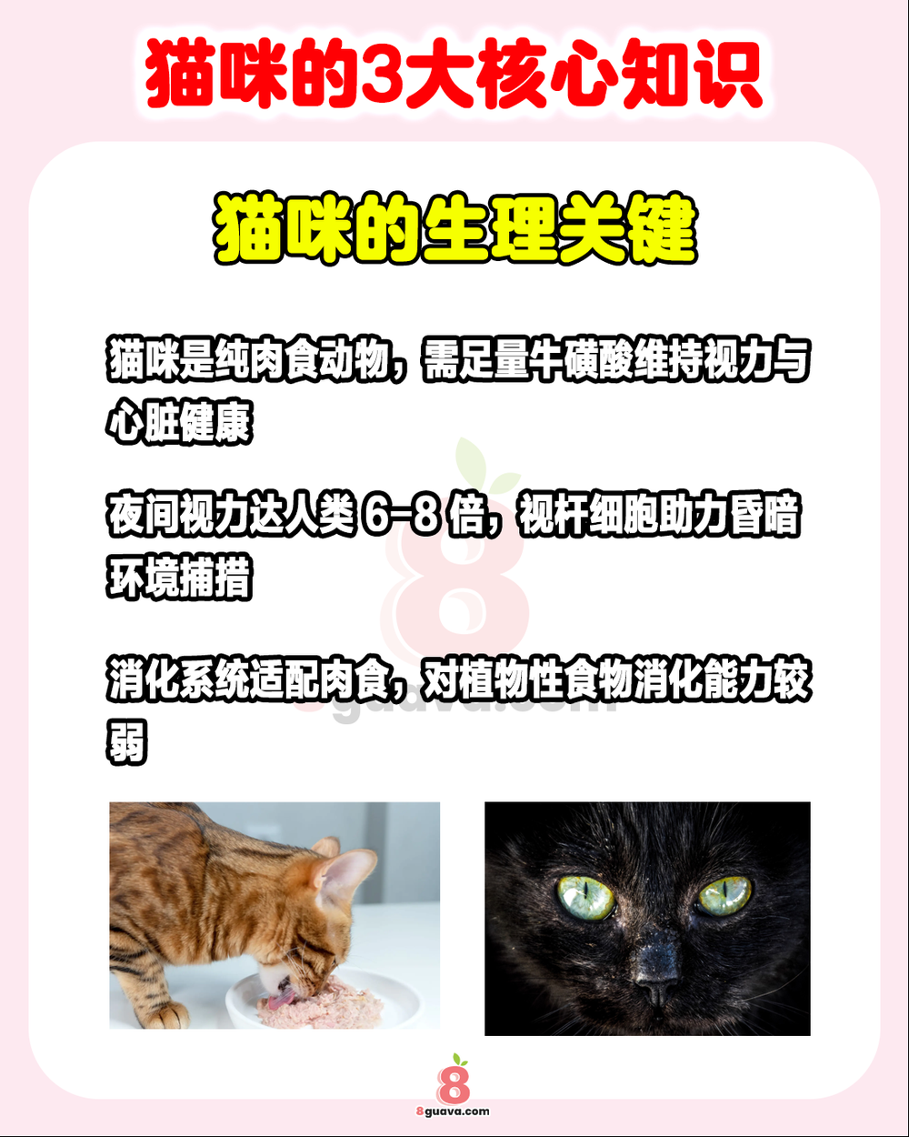 Image from: 猫咪的3大核心知识 一次看🐈养猫人必看❗
