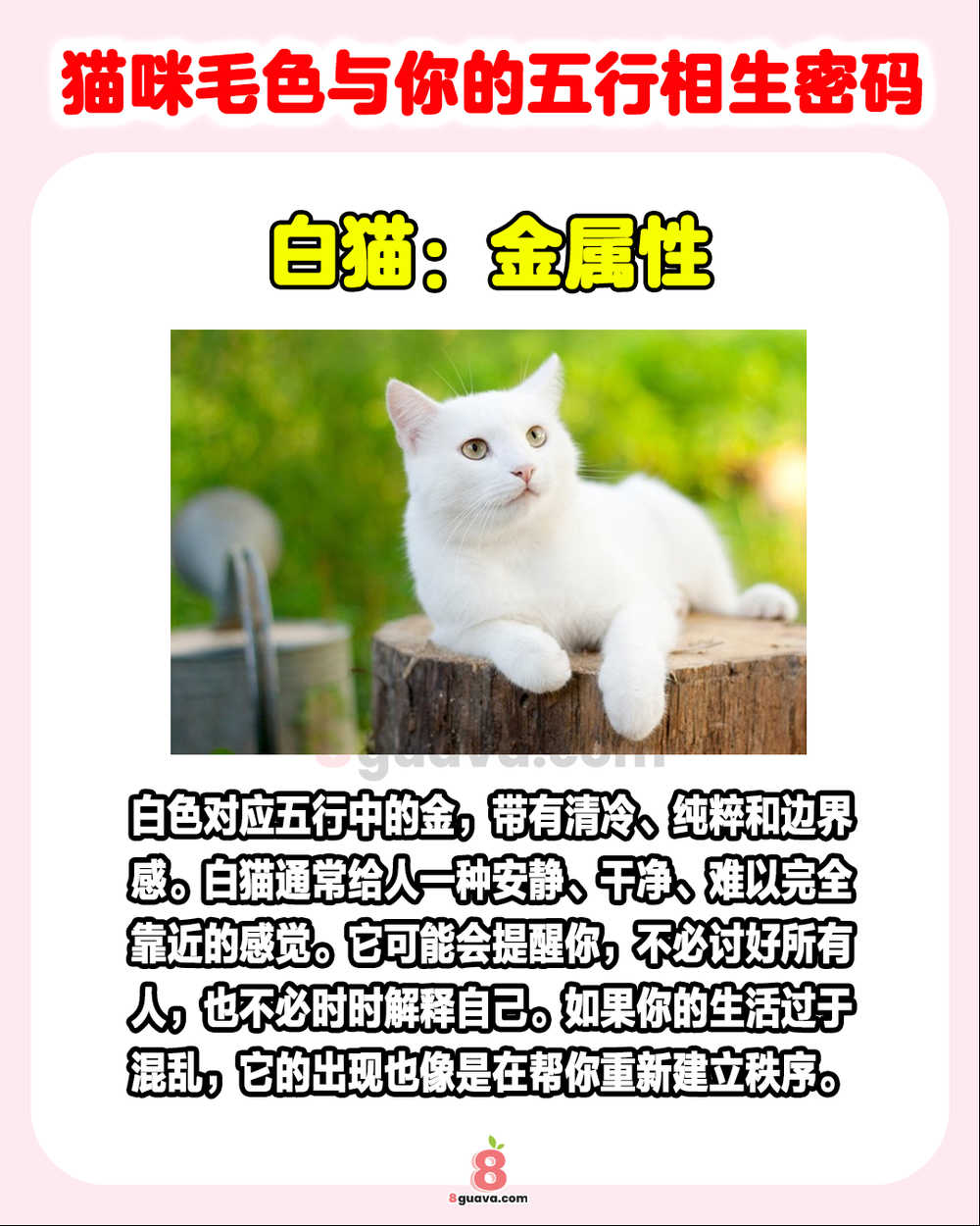 Image from: 猫咪毛色与你的五行相生密码 🐈快来看看你的猫旺你吗❓