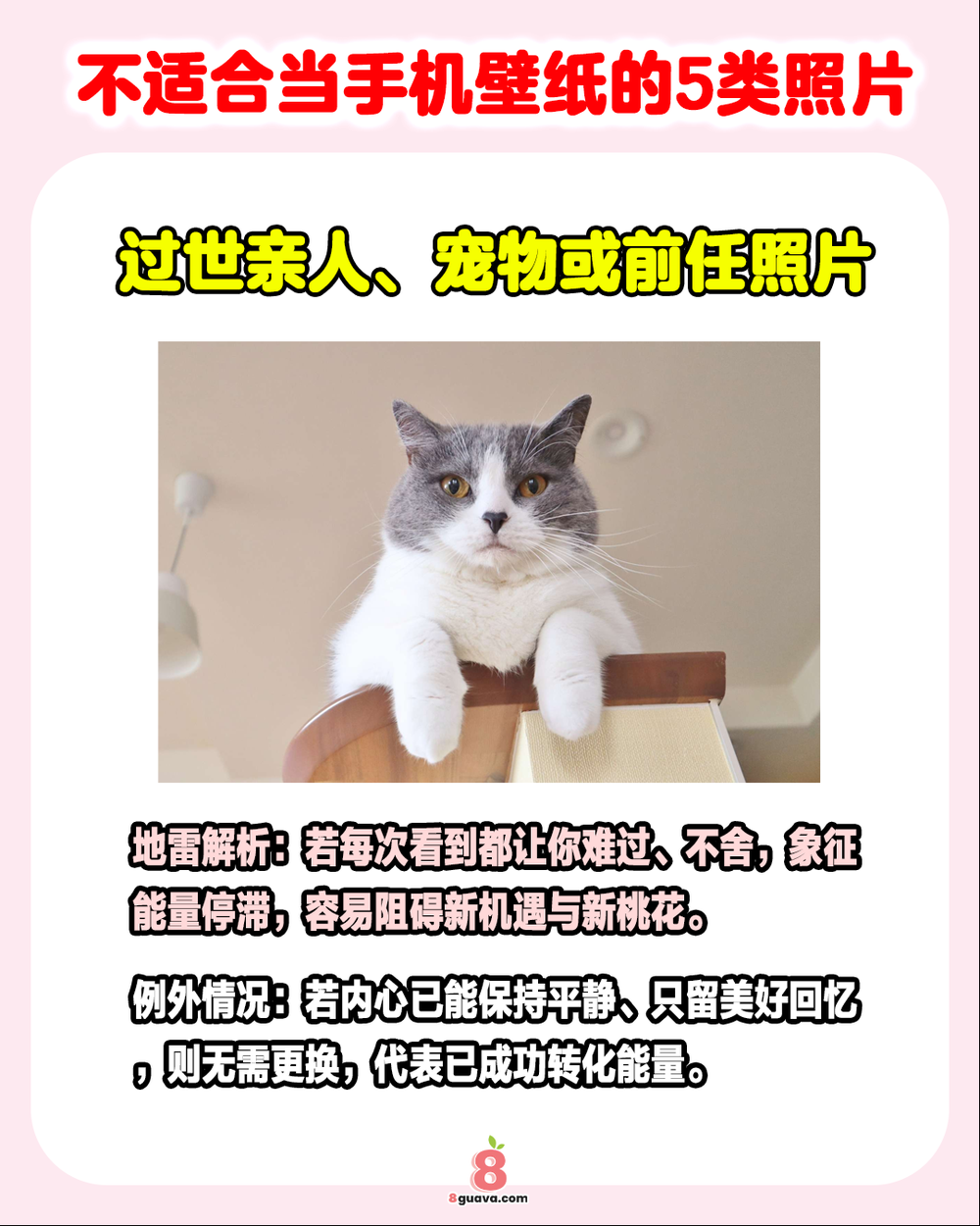 不适合当手机壁纸的5类照片