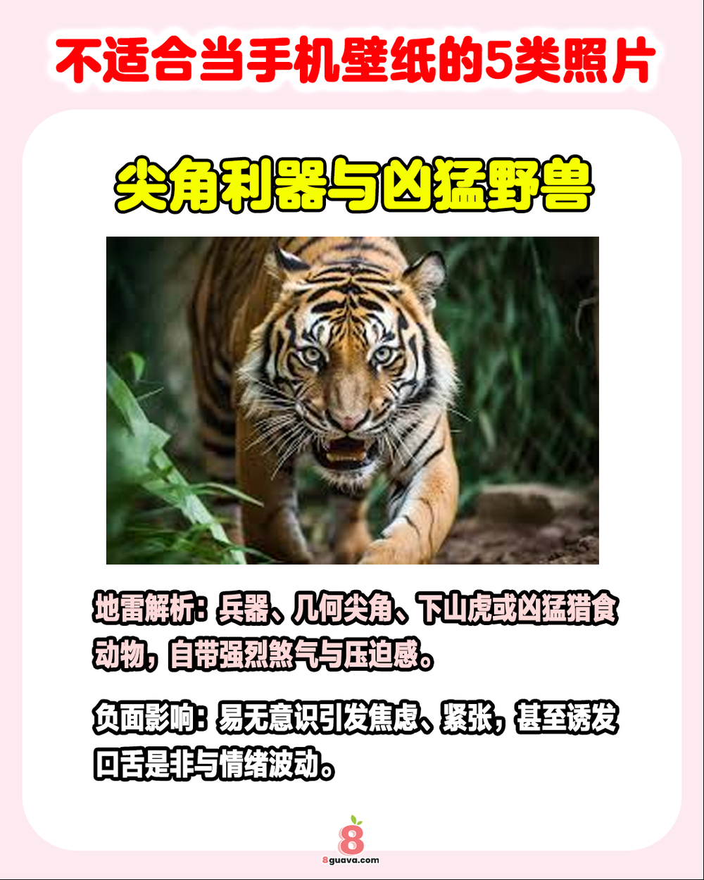 Image from: 不适合当手机壁纸的5类照片 📱快@你的家人朋友一起来看❗