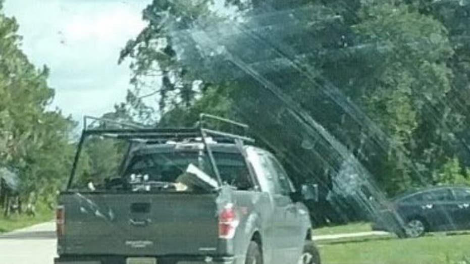 Florida driver caught on video dragging dog nearly half a mile is ...