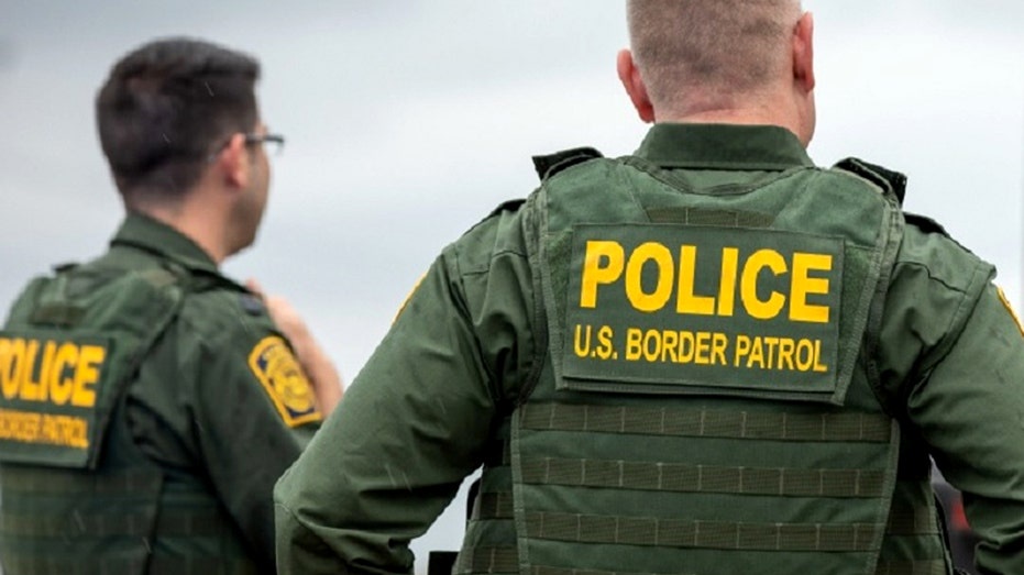 US Border Patrol agent kills suspected cartel smuggler after 'struggle ...