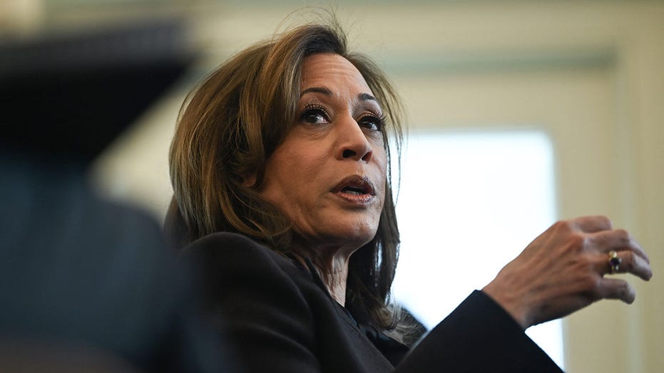 LAPD responds to Kamala Harris' California home in Palisades Fire
