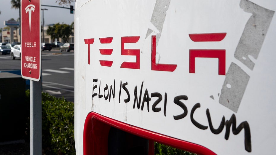 Tesla Takedown: Anti-Musk protesters mobilize for Global Day of Protest