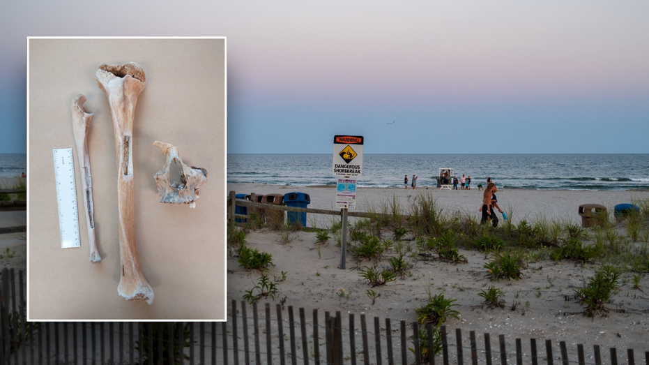 Mysterious bones that washed up on Jersey Shore finally identified 180