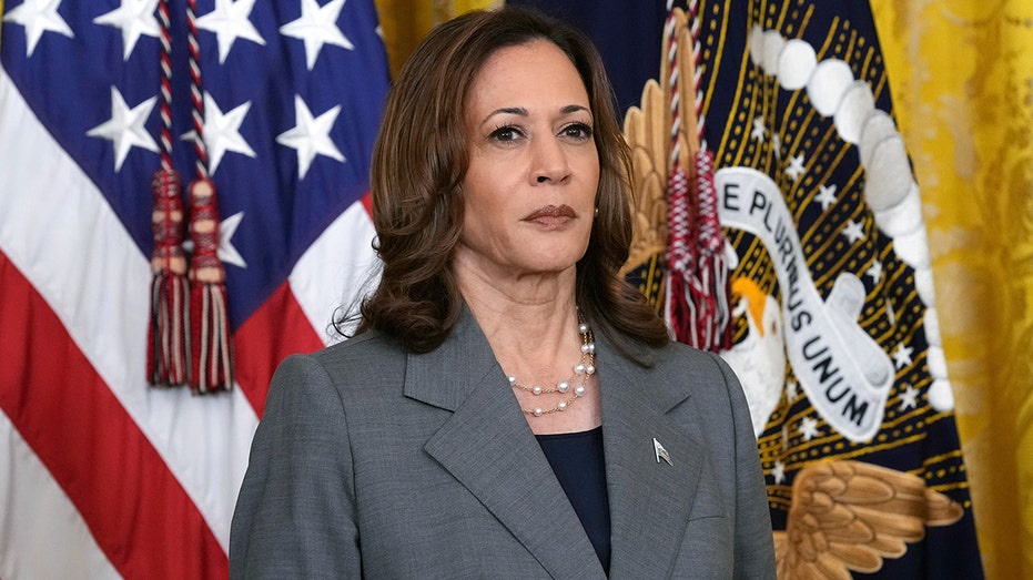 Democratic donor ditched Harris-led fundraiser with a 'profanity-laced ...