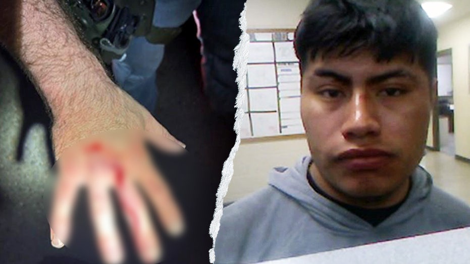 Illegal immigrant bites ICE officer in 'gross attack' while resisting ...